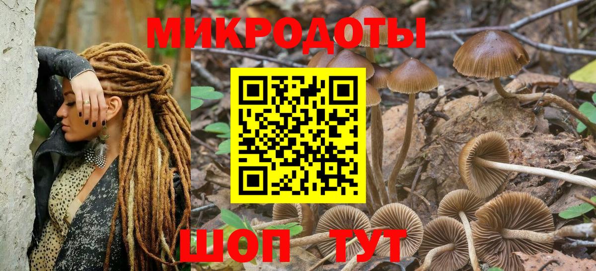 Галлюциногенные грибы Magic Shrooms Новоуральск